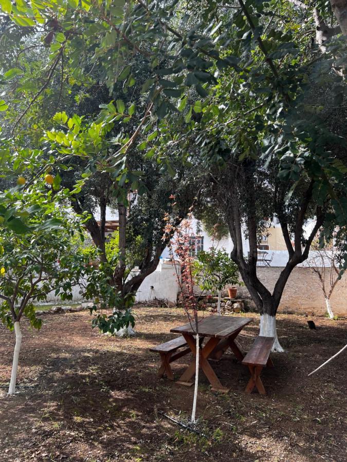 Gasthaus Two Olive Trees Spétses Exterior foto